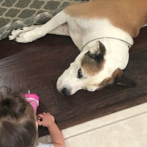 Meet your Posher, Rachel